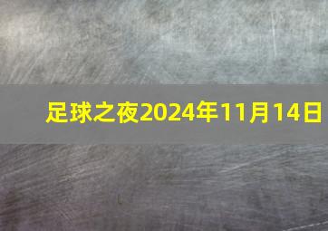 足球之夜2024年11月14日