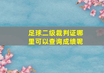 足球二级裁判证哪里可以查询成绩呢