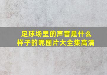 足球场里的声音是什么样子的呢图片大全集高清