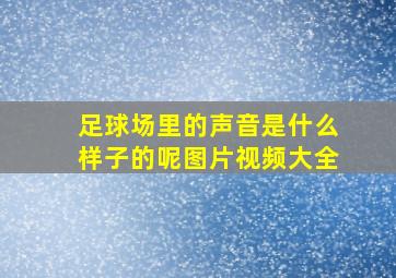 足球场里的声音是什么样子的呢图片视频大全