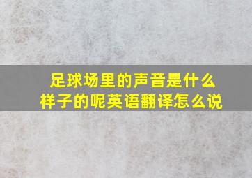 足球场里的声音是什么样子的呢英语翻译怎么说