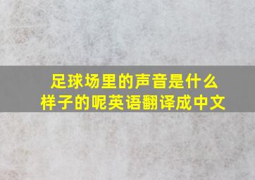 足球场里的声音是什么样子的呢英语翻译成中文