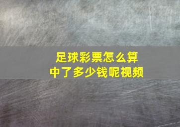 足球彩票怎么算中了多少钱呢视频