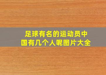 足球有名的运动员中国有几个人呢图片大全