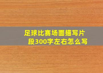 足球比赛场面描写片段300字左右怎么写