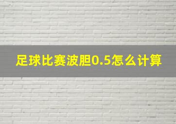 足球比赛波胆0.5怎么计算