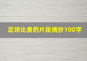 足球比赛的片段摘抄100字