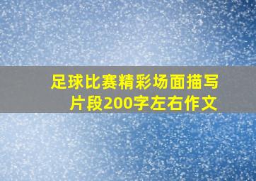 足球比赛精彩场面描写片段200字左右作文