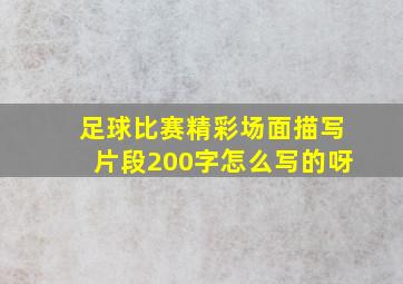 足球比赛精彩场面描写片段200字怎么写的呀