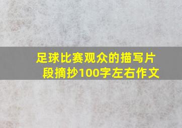 足球比赛观众的描写片段摘抄100字左右作文