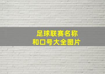 足球联赛名称和口号大全图片