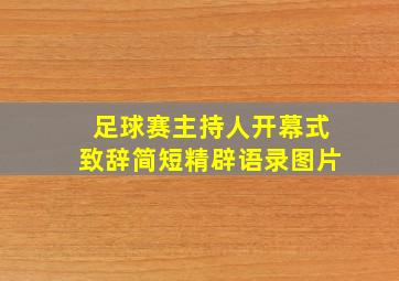 足球赛主持人开幕式致辞简短精辟语录图片