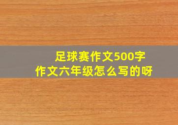 足球赛作文500字作文六年级怎么写的呀