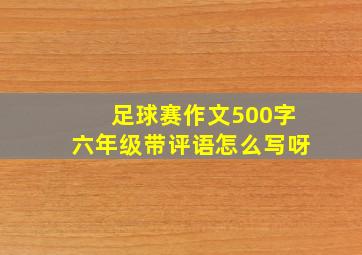 足球赛作文500字六年级带评语怎么写呀