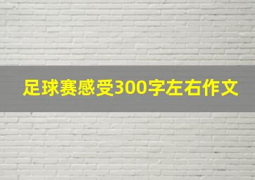 足球赛感受300字左右作文