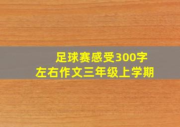 足球赛感受300字左右作文三年级上学期