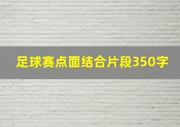 足球赛点面结合片段350字