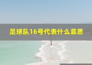 足球队16号代表什么意思