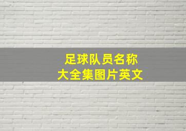 足球队员名称大全集图片英文