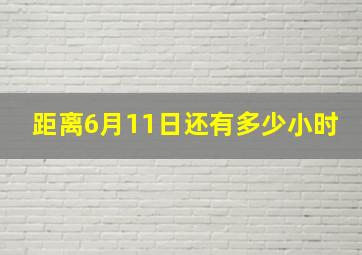 距离6月11日还有多少小时