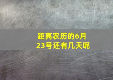 距离农历的6月23号还有几天呢