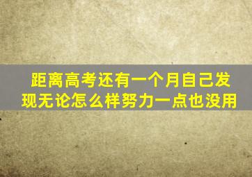 距离高考还有一个月自己发现无论怎么样努力一点也没用