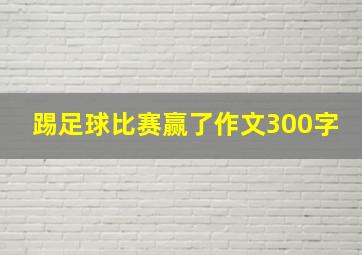 踢足球比赛赢了作文300字