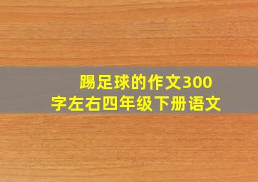 踢足球的作文300字左右四年级下册语文