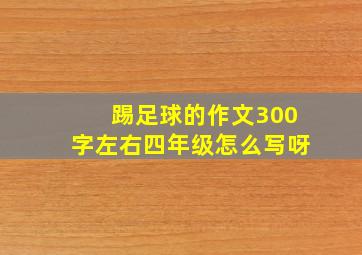 踢足球的作文300字左右四年级怎么写呀