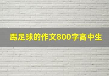 踢足球的作文800字高中生