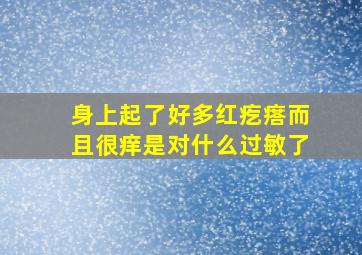 身上起了好多红疙瘩而且很痒是对什么过敏了