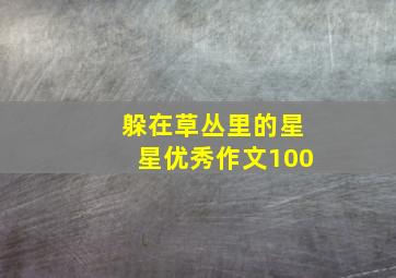 躲在草丛里的星星优秀作文100