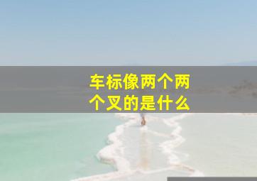 车标像两个两个叉的是什么