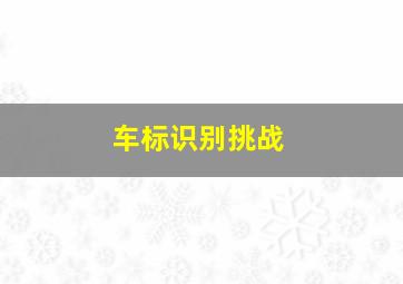 车标识别挑战