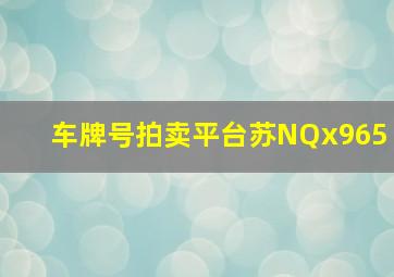 车牌号拍卖平台苏NQx965