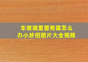 车玻璃里面有霜怎么办小妙招图片大全视频