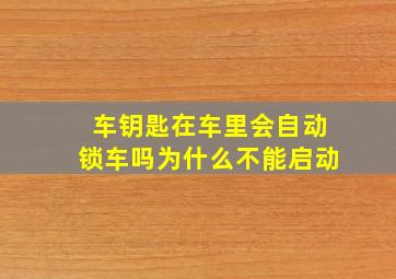 车钥匙在车里会自动锁车吗为什么不能启动