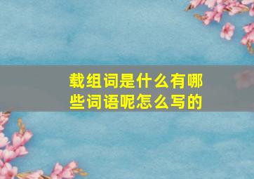 载组词是什么有哪些词语呢怎么写的