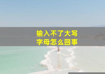 输入不了大写字母怎么回事