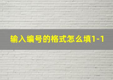 输入编号的格式怎么填1-1