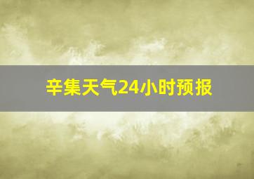 辛集天气24小时预报