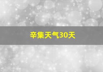 辛集天气30天