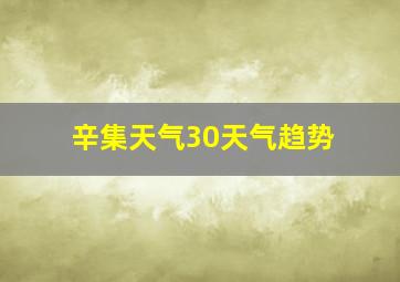 辛集天气30天气趋势