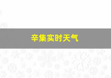 辛集实时天气