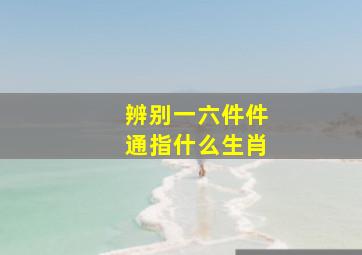 辨别一六件件通指什么生肖