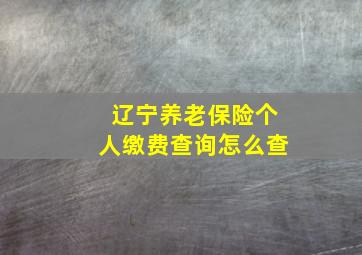 辽宁养老保险个人缴费查询怎么查