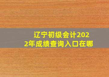 辽宁初级会计2022年成绩查询入口在哪