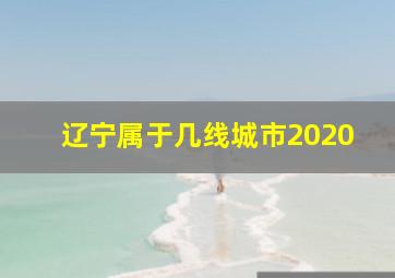 辽宁属于几线城市2020