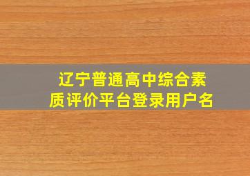 辽宁普通高中综合素质评价平台登录用户名