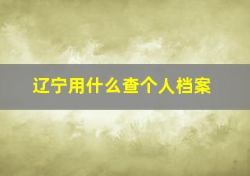 辽宁用什么查个人档案